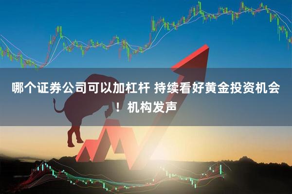 哪个证券公司可以加杠杆 持续看好黄金投资机会！机构发声