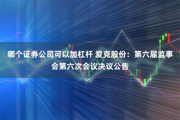 哪个证券公司可以加杠杆 爱克股份：第六届监事会第六次会议决议公告