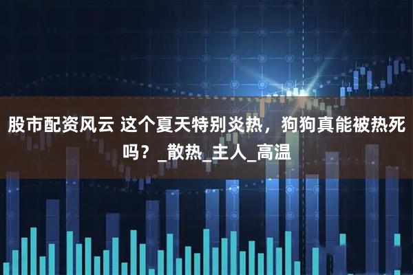 股市配资风云 这个夏天特别炎热，狗狗真能被热死吗？_散热_主人_高温