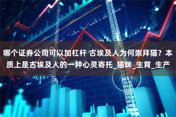 哪个证券公司可以加杠杆 古埃及人为何崇拜猫？本质上是古埃及人的一种心灵寄托_猫咪_生育_生产