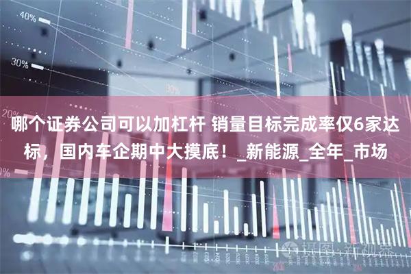 哪个证券公司可以加杠杆 销量目标完成率仅6家达标，国内车企期中大摸底！_新能源_全年_市场