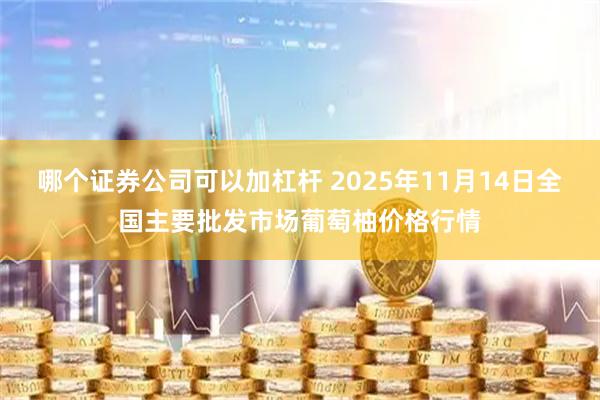 哪个证券公司可以加杠杆 2025年11月14日全国主要批发市场葡萄柚价格行情