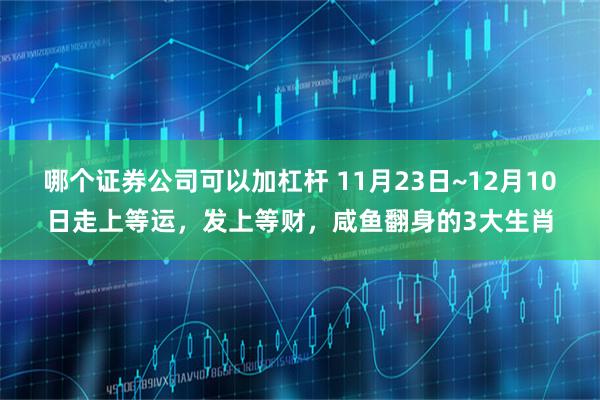 哪个证券公司可以加杠杆 11月23日~12月10日走上等运,发上等财,咸鱼翻身的3大生肖